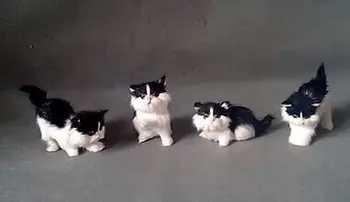 mini cute black&white cat toy jauki kaķis apmēram 10cm vienu partiju / 4 gabali kaķi,mājas apdare dāvanu t219